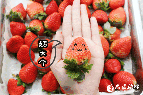 微信图片_20190406085549_副本.png