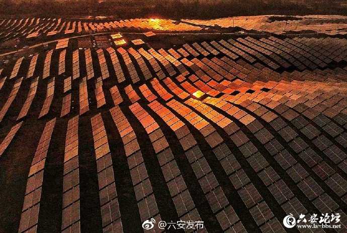 b41ed181ly1g1uxfucvcqj20p00gtjvd - 副本.jpg