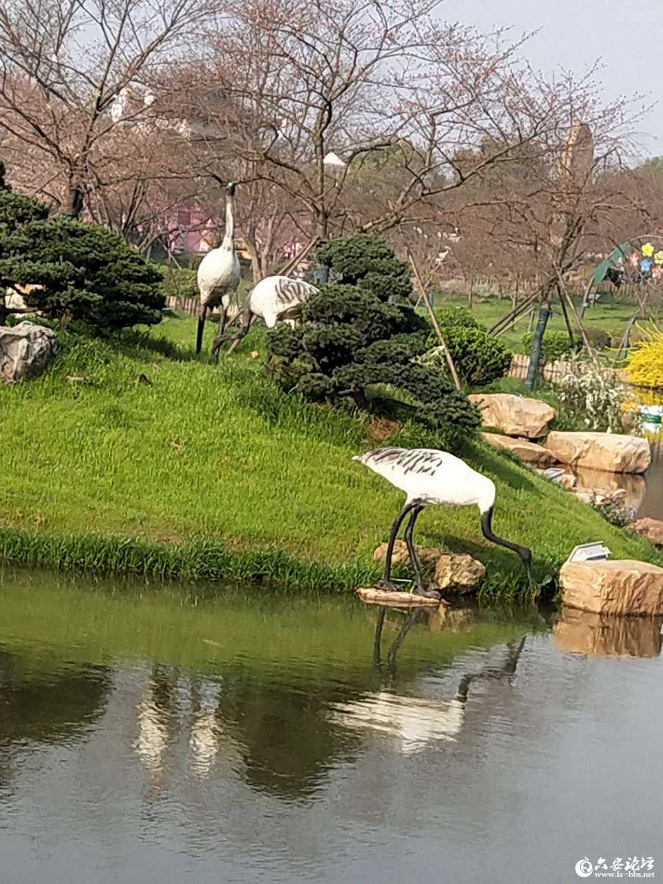 20190416_272077_1555425833190.jpg