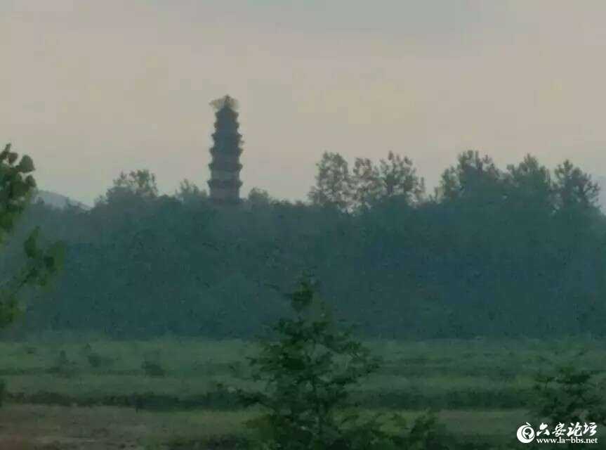 20190515_272531_1557879184228.jpg