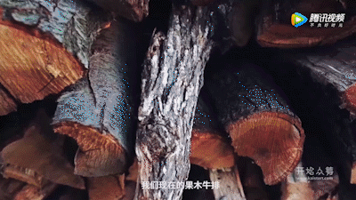 微信图片_20190522104111.gif