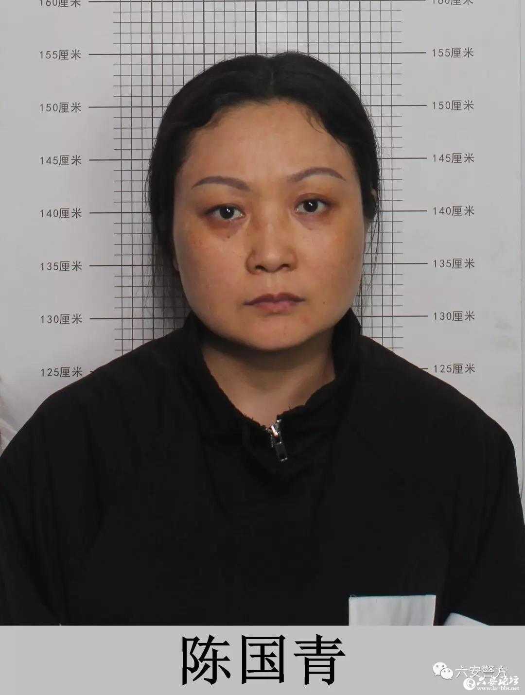 六安警方关于积极检举揭发张同亮犯罪组织违法犯罪线索的通告