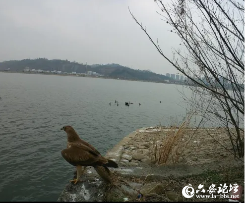 QQ截图20240508080339.png