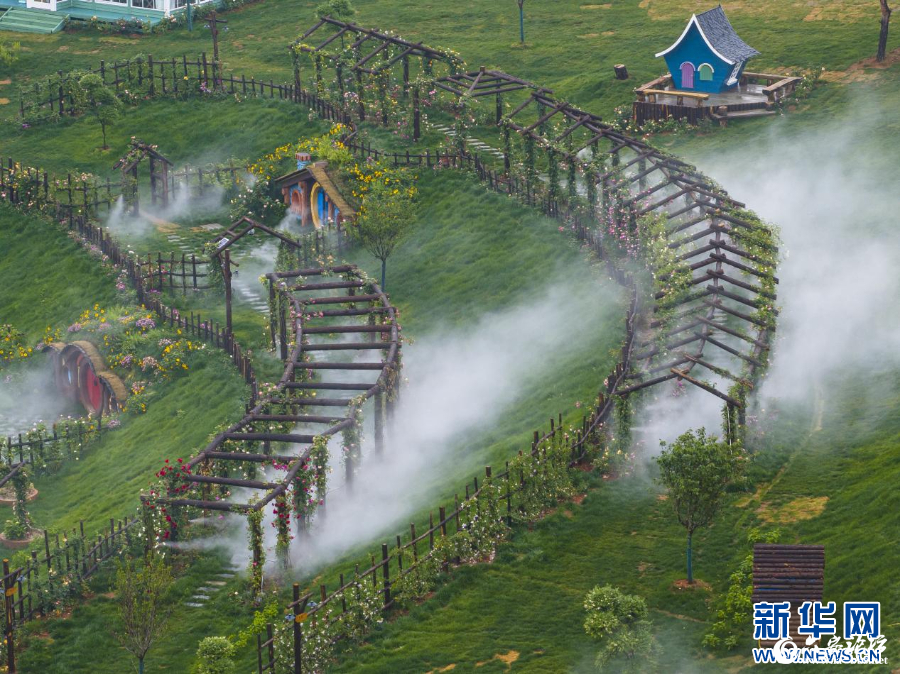 微信图片_20240515092856.png