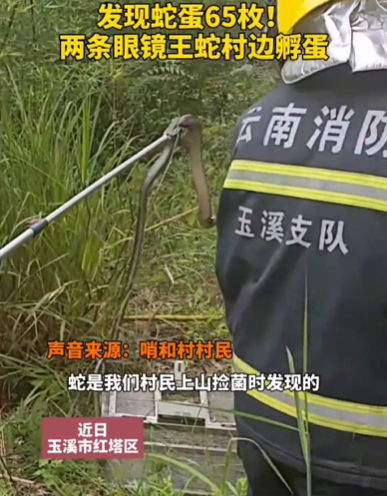 QQ截图20240708142837.png