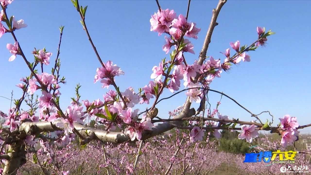 微信图片_20250320090227.jpg