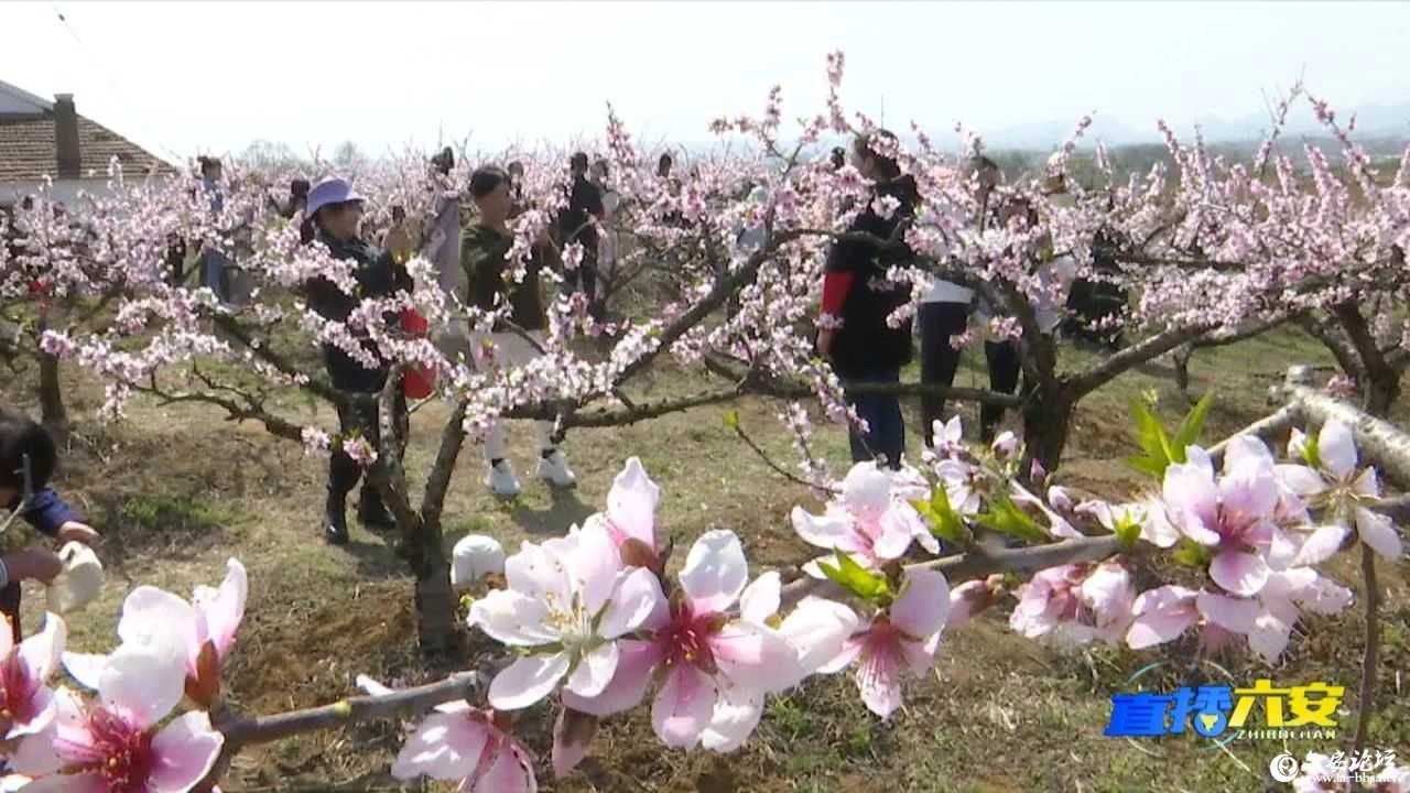 微信图片_20250320090233.jpg