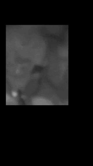 微信图片_20250411095313.gif