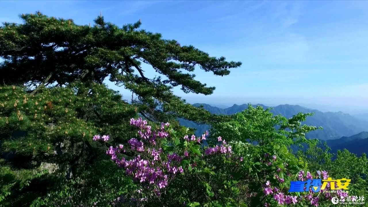 微信图片_20250414102129.jpg