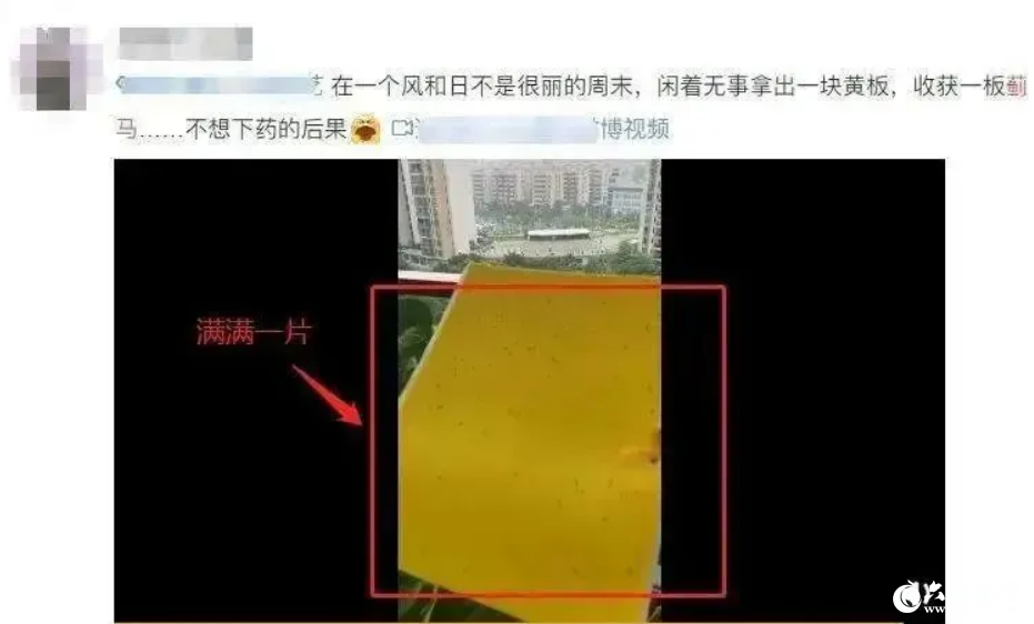 QQ截图20250421100346.png