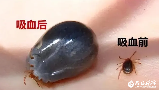 微信图片_20250421101637.png