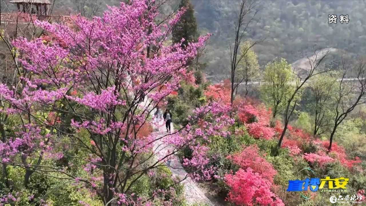 微信图片_20250427095522.jpg