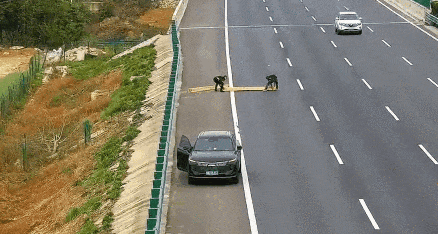 微信图片_20250429103221.gif