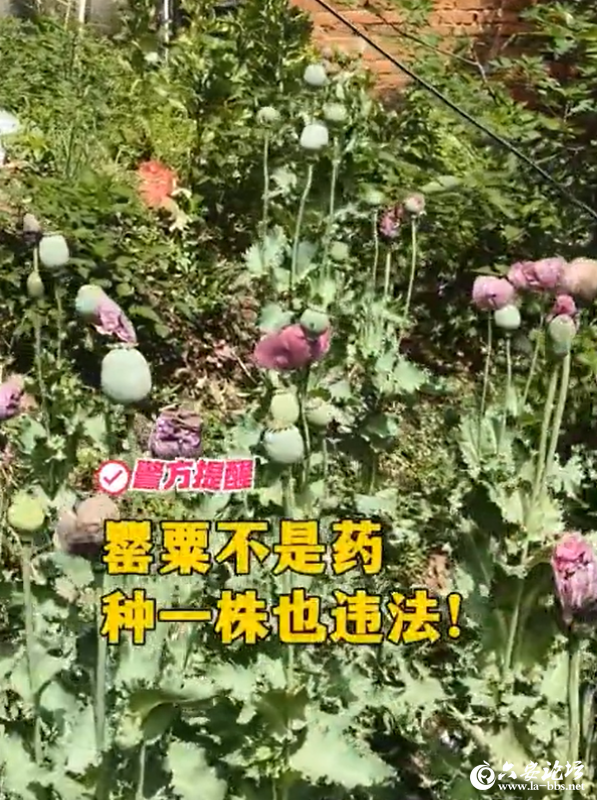 QQ截图20250506105858.png