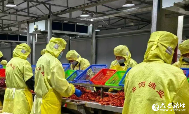 QQ截图20250515085526.png