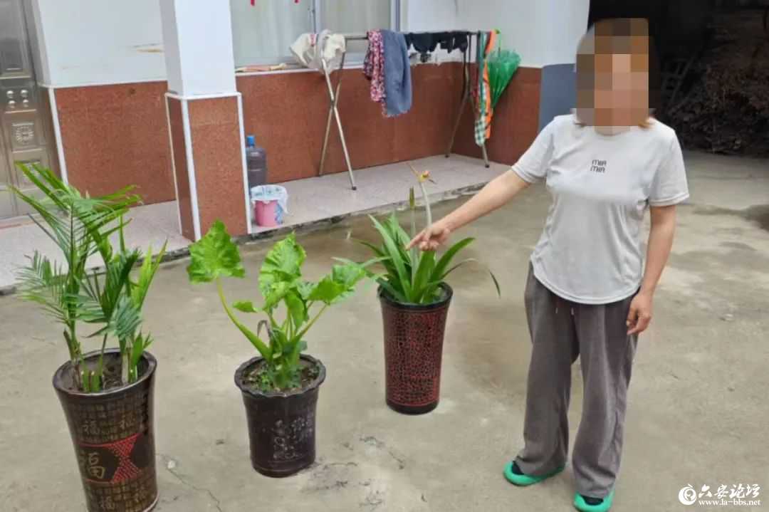 微信图片_20250519082446.jpg