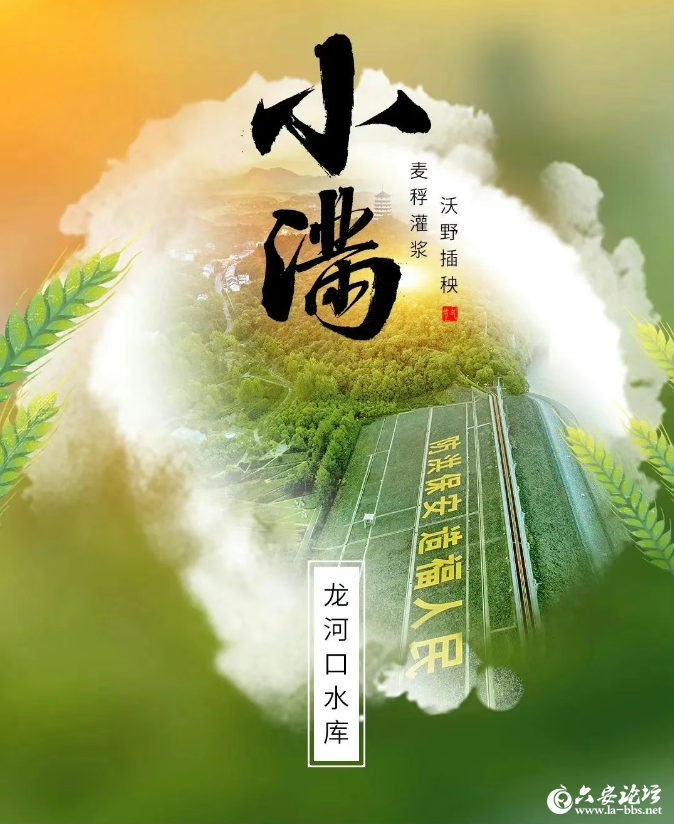 QQ截图20250521082821.png