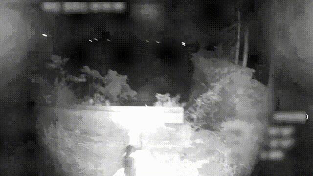 微信图片_20250521102956.gif