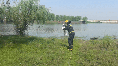 微信图片_20250522092827.gif