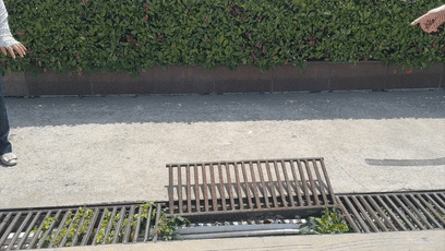 微信图片_20250522092814.gif
