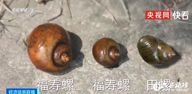 微信图片_20250526090430.png