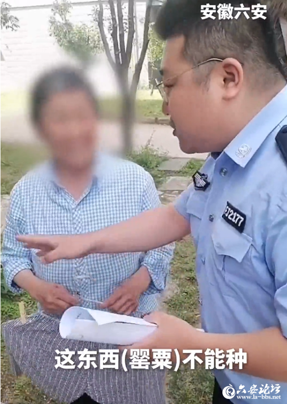 QQ截图20250526101517.png