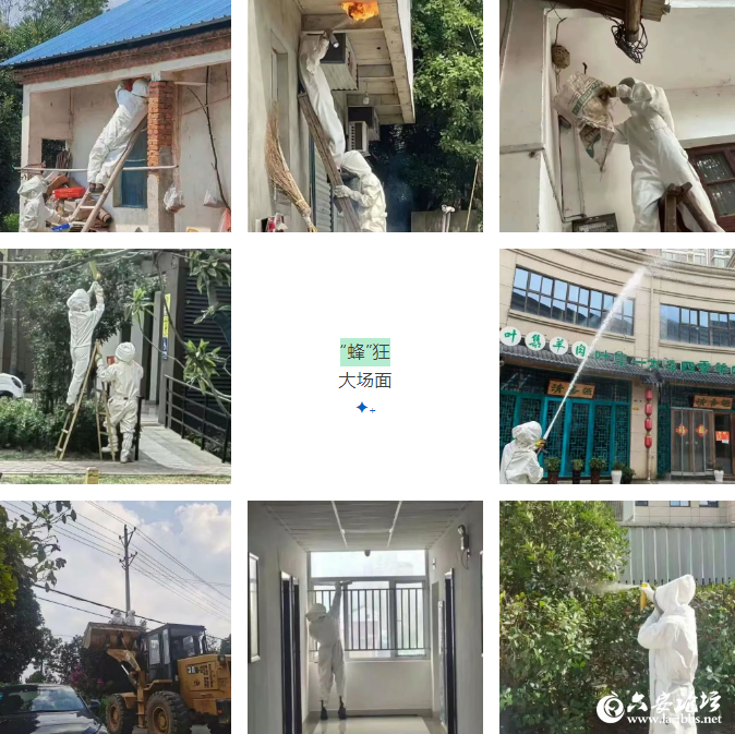 QQ截图20250530113650.png