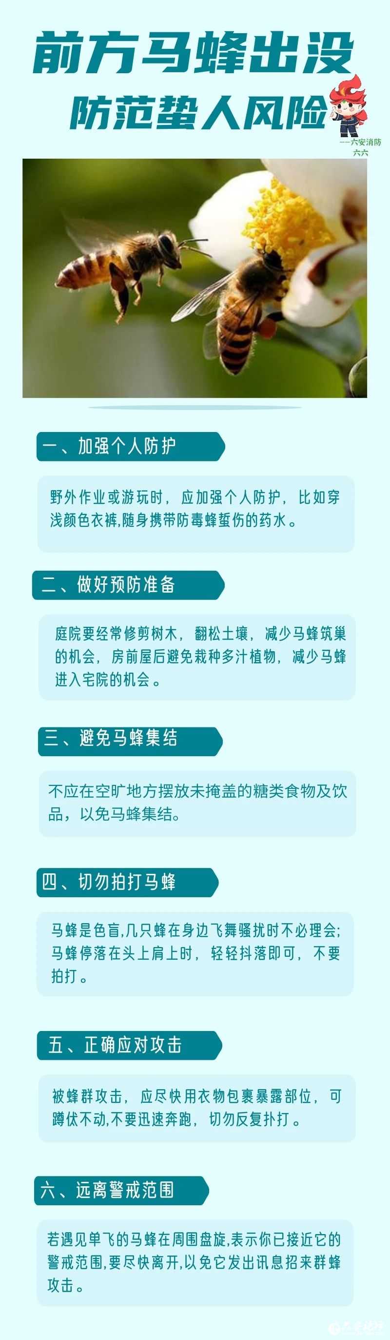 微信图片_20250530113025.jpg