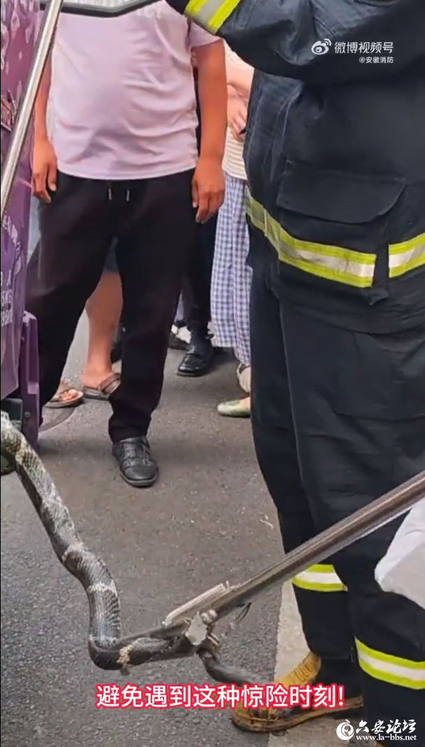 QQ截图20250606093850.png