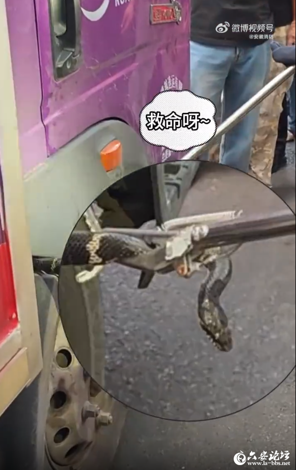 QQ截图20250606093832.png