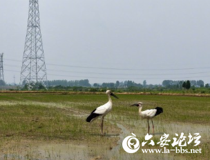 微信图片_20250606094252.png