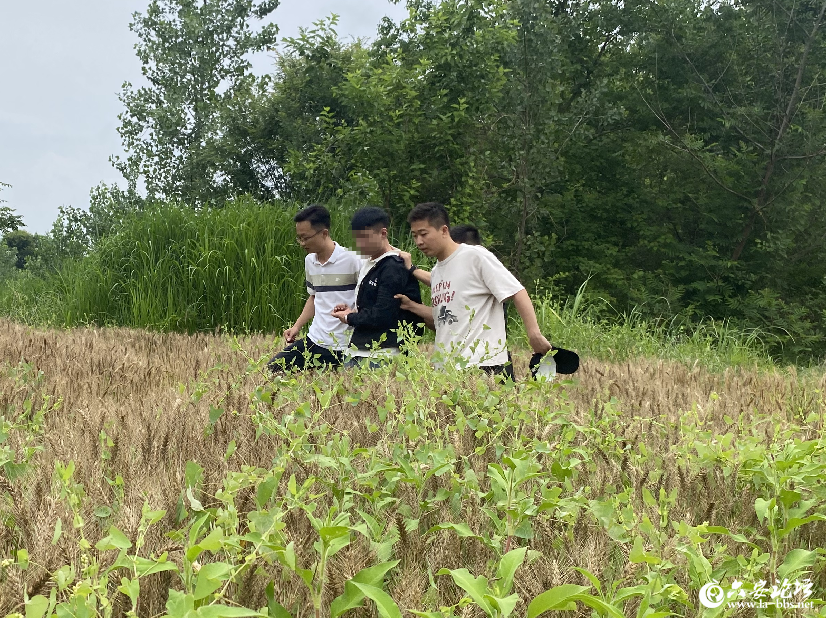 微信图片_20250611110221.png