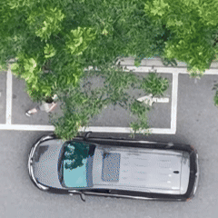 微信图片_20250611110224.gif