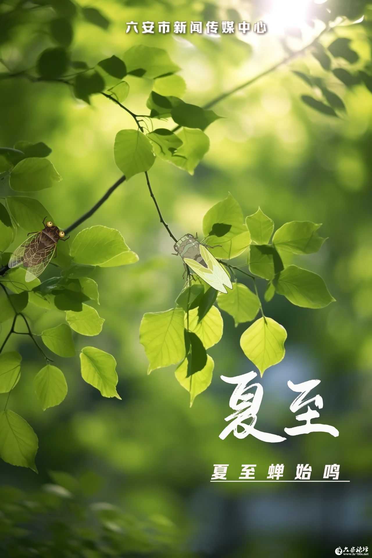 微信图片_20250623144207.jpg