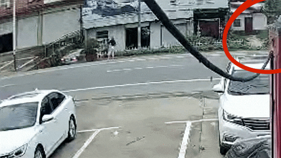 微信图片_20250702100131.gif