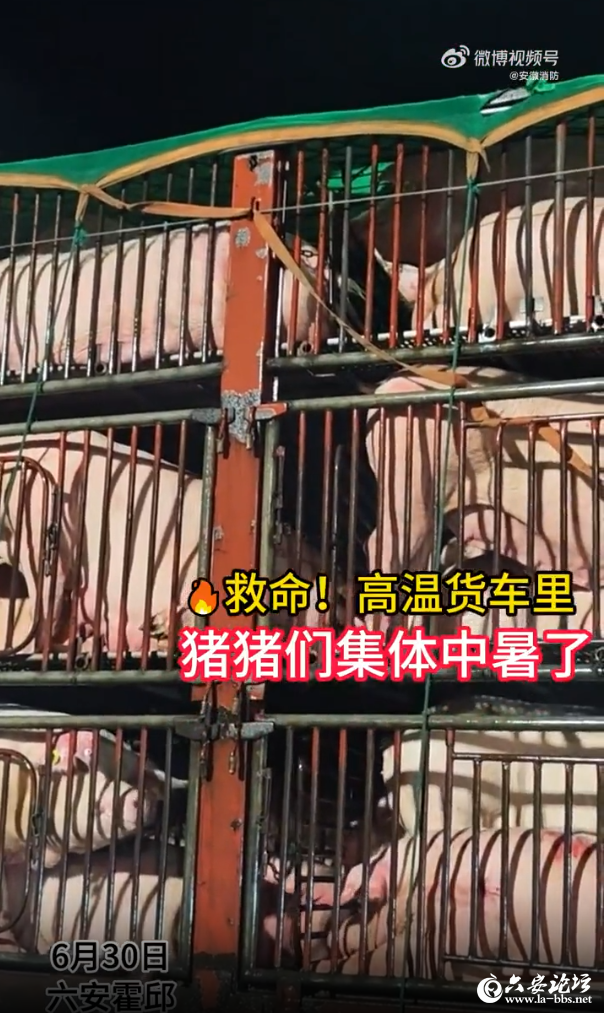 QQ截图20250704085954.png