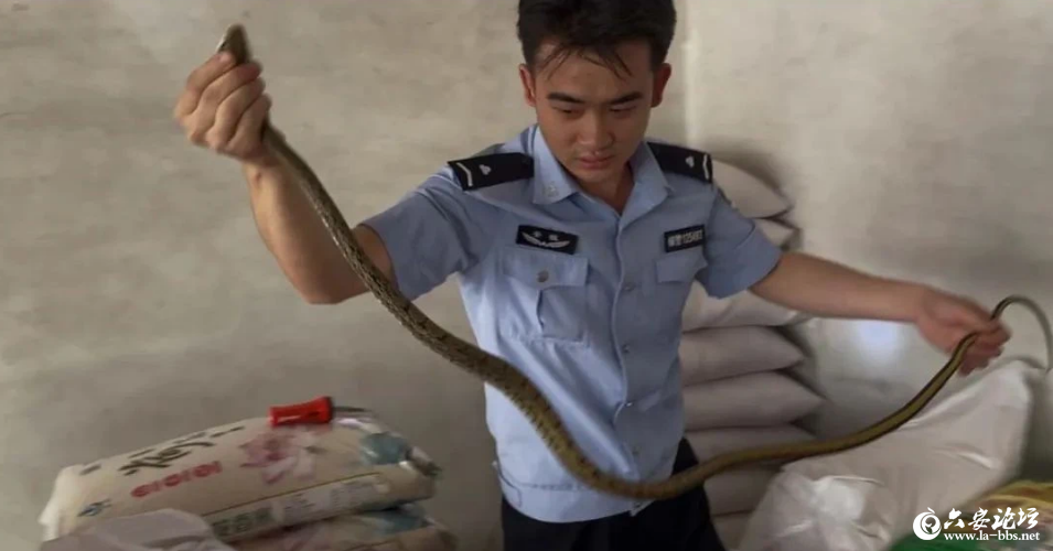 QQ截图20250708100932.png