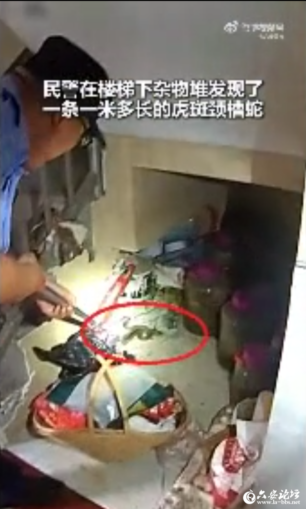 QQ截图20250711105010.png