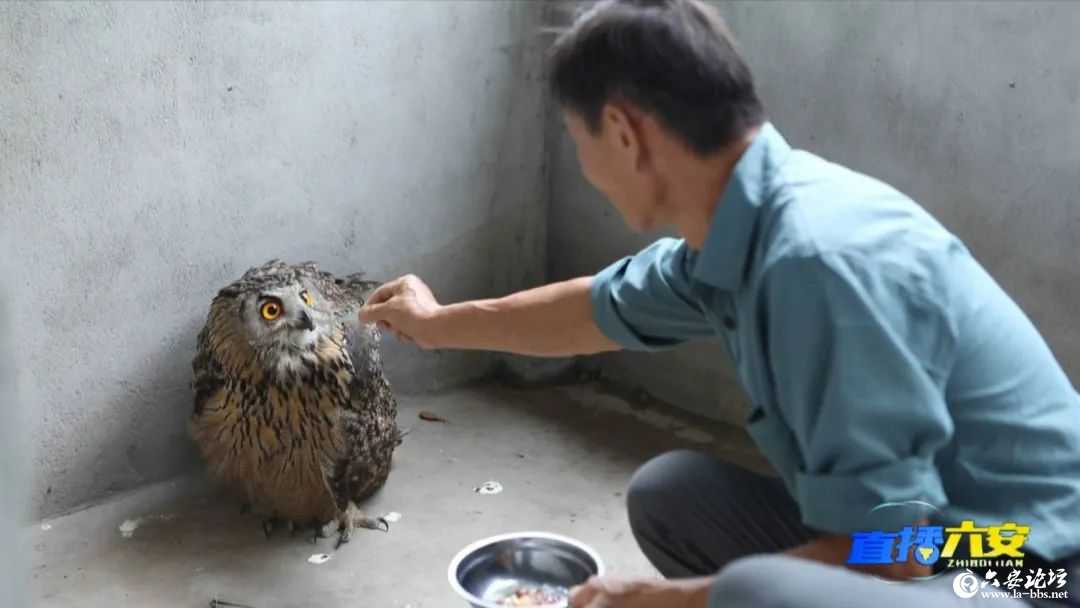 微信图片_20250724093000.jpg