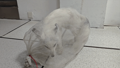 微信图片_20250725084535.gif