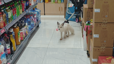 微信图片_20250725084543.gif