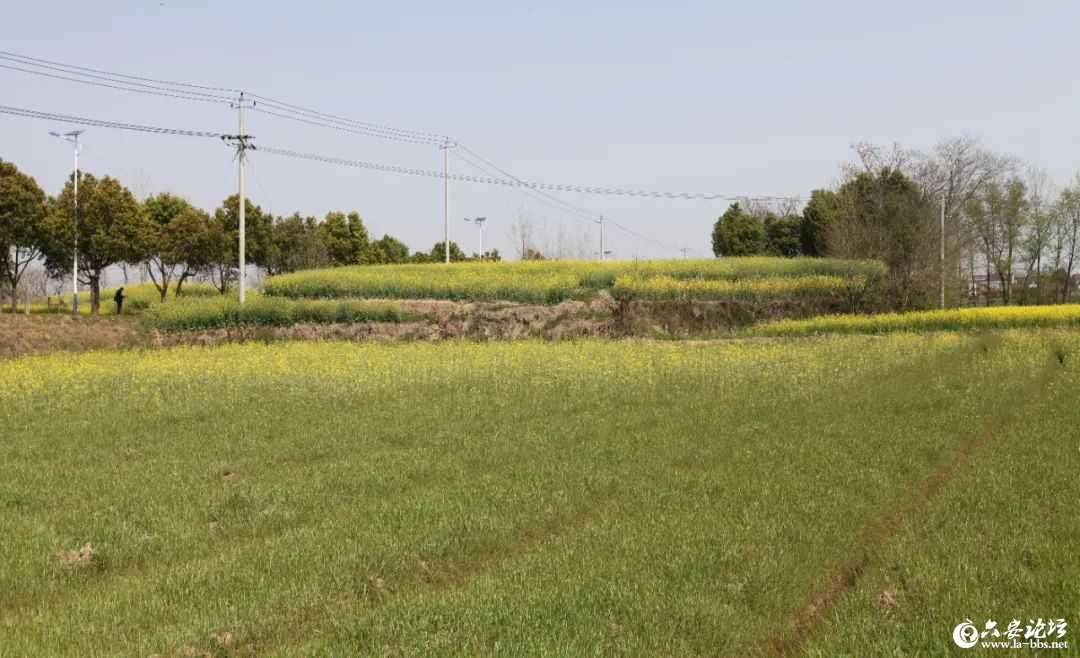640.jpg