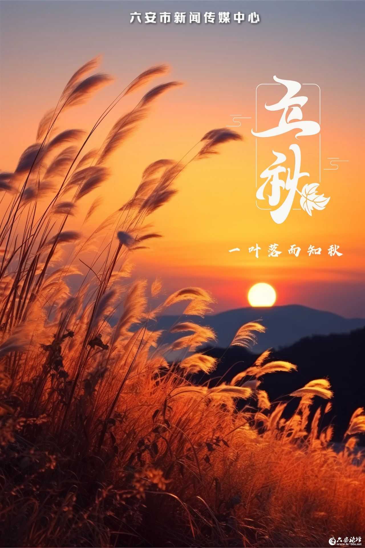 微信图片_2025-08-07_113215_906.jpg