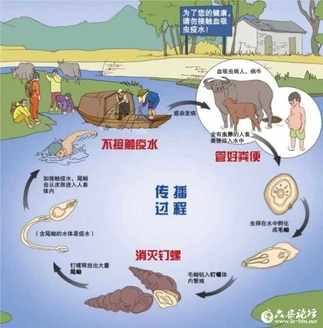 微信图片_2025-08-12_084023_743.jpg