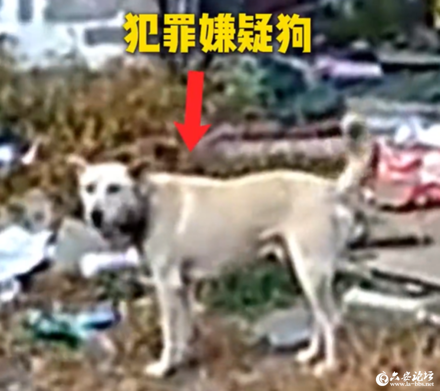 QQ20250822-100643.png