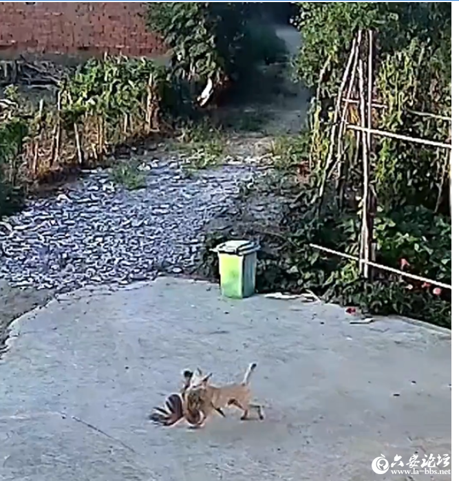 QQ20250822-100630.png