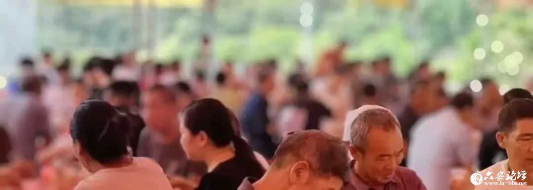 微信图片_2025-08-26_092931_387.jpg