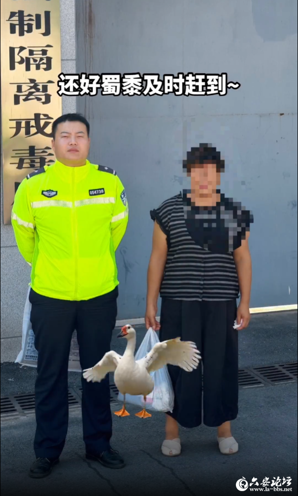 QQ20250827-083839.png