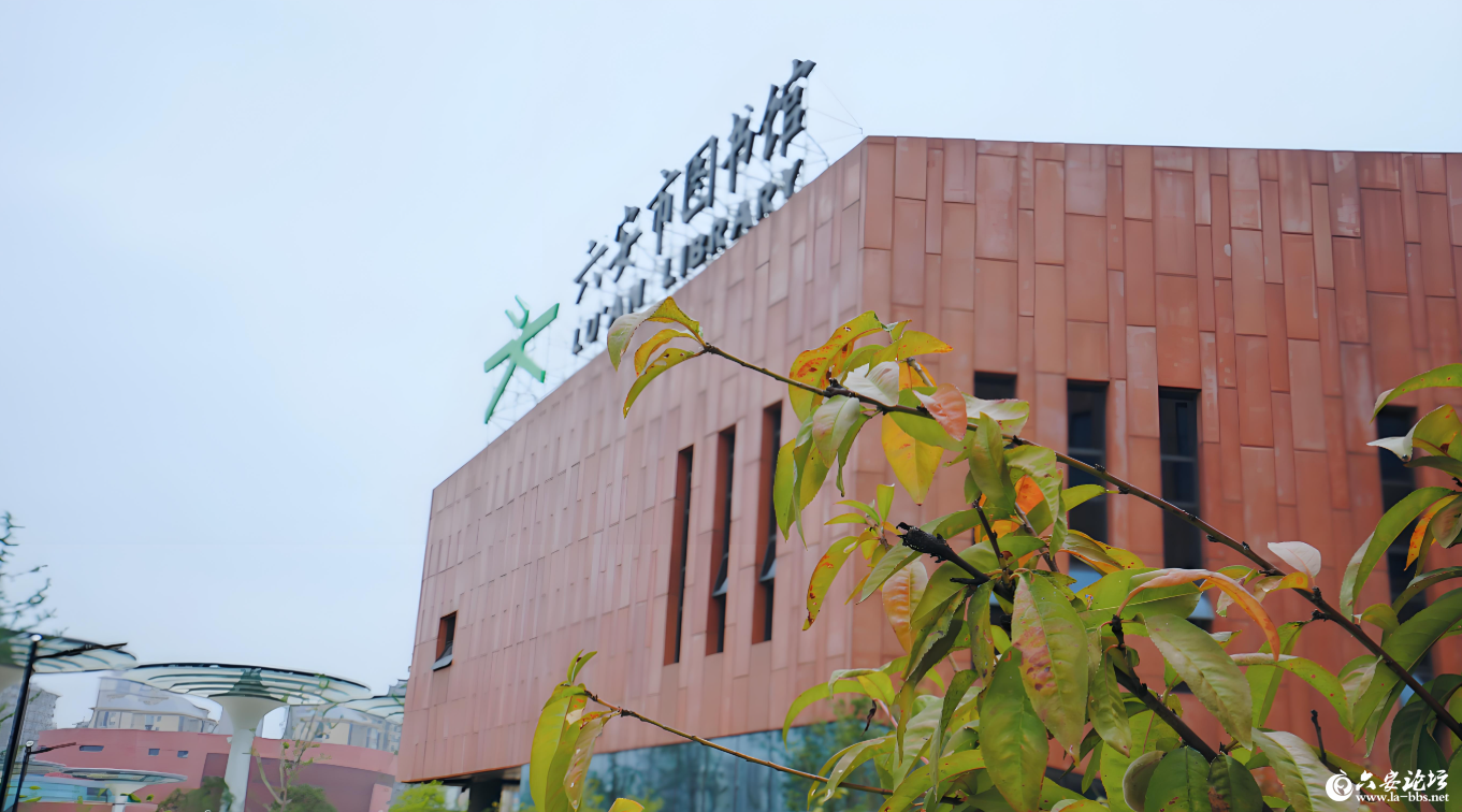 QQ20250901-092542.png