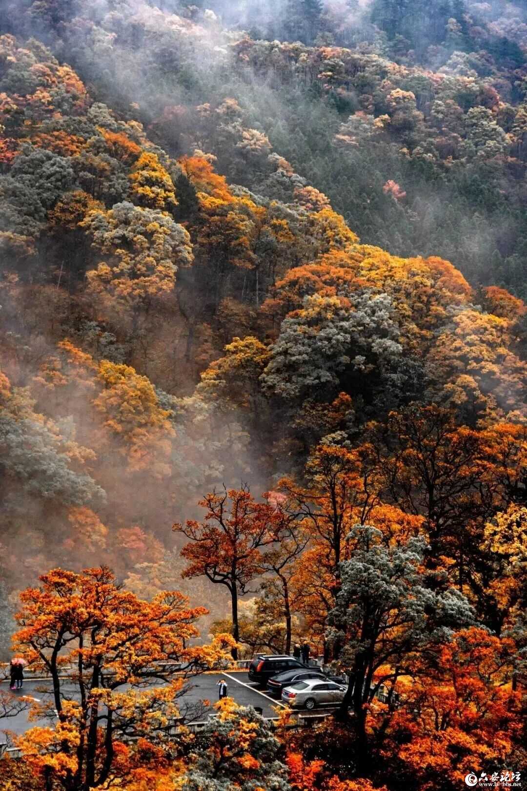 微信图片_2025-09-08_090846_842.jpg